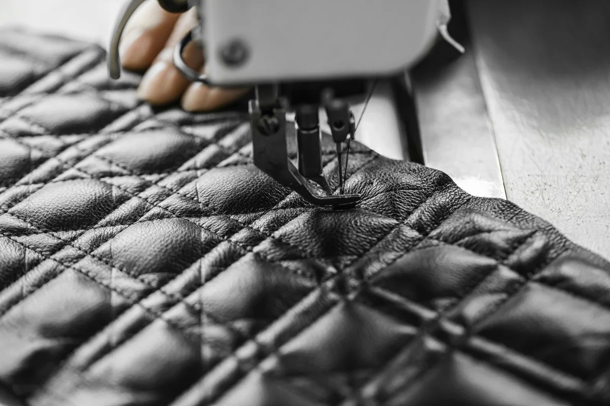 sewing snake animal reptile