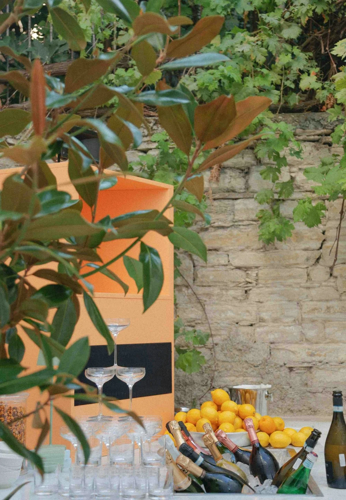 glass outdoors nature plant potted plant countryside citrus fruit fruit beverage alcohol