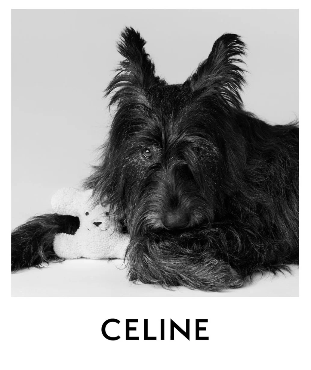 Celine Dog Accessories Collection - Triomphe shearling plush €320 (Courtesy of press)