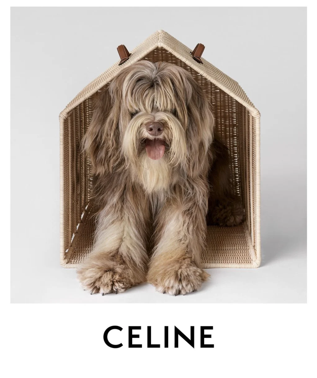 Celine Dog Accessories Collection - Wicker and calfskin dog toy box €3,000 (Courtesy of press)
