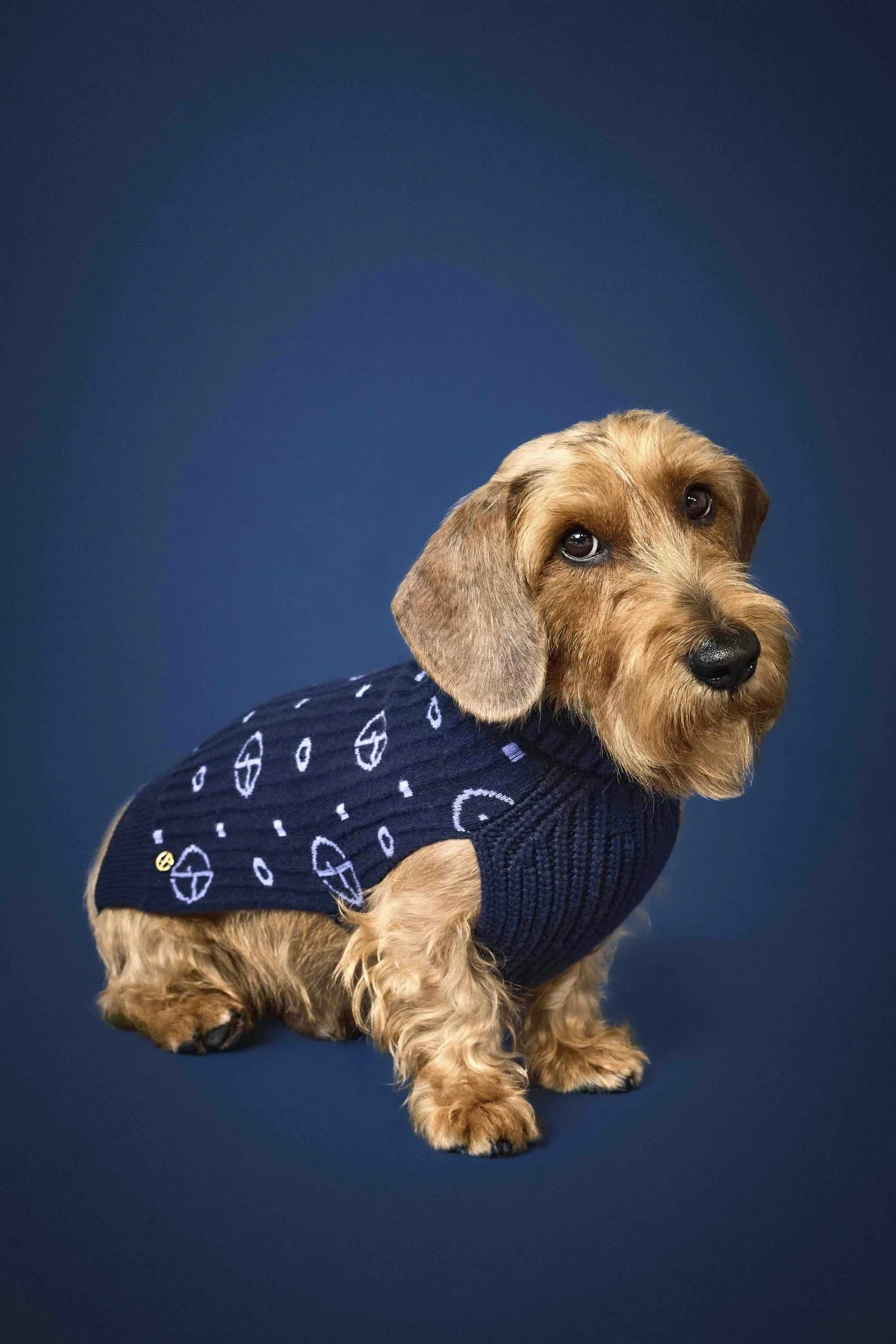 Poldo Dog Couture x Giorgio Armani - Monogram jacquard virgin wool and cashmere sweater €295 (Courtesy of press)
