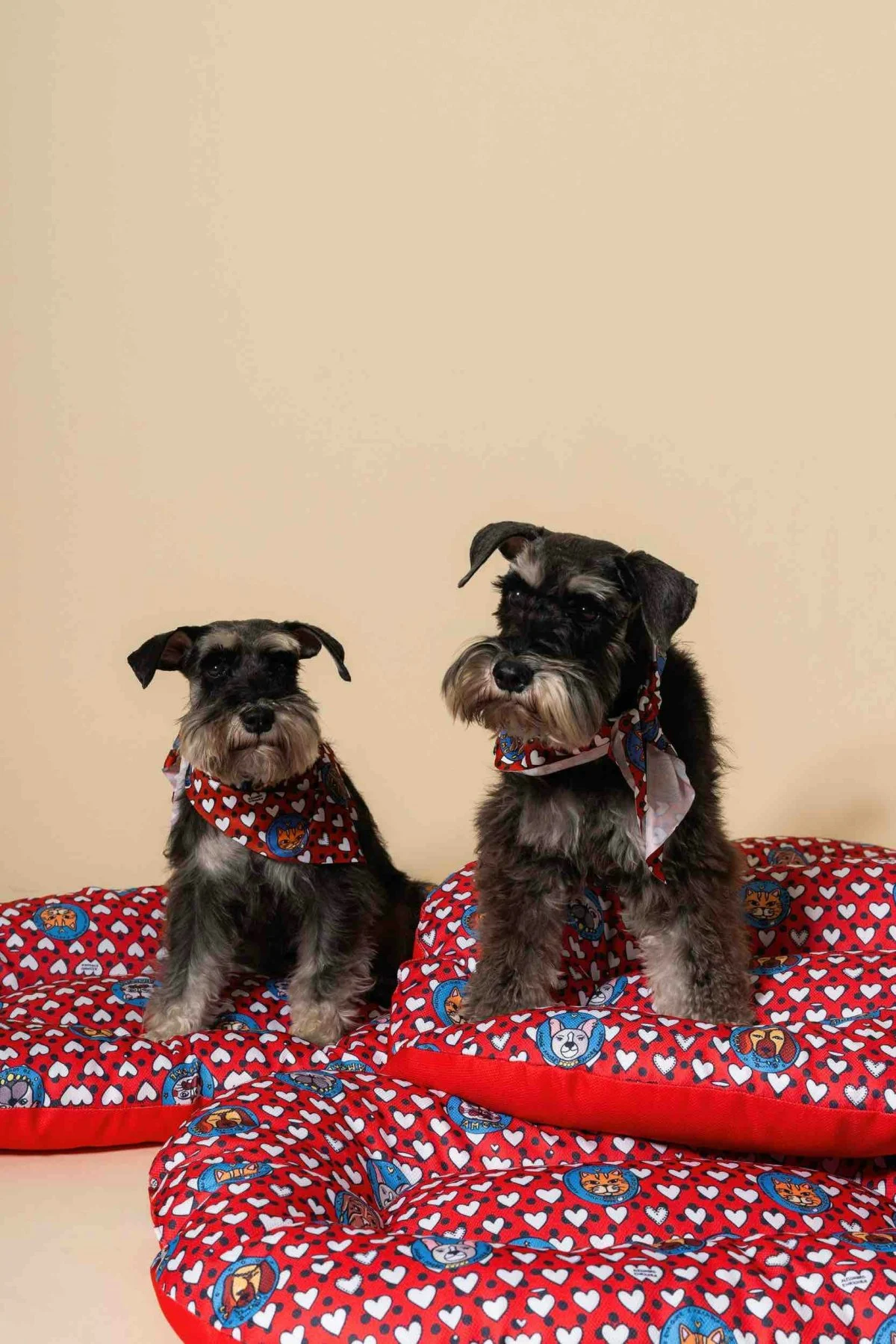 Alessandro Enriquez x Arcaplanet - Oval cushion €24.99 (Courtesy of press)