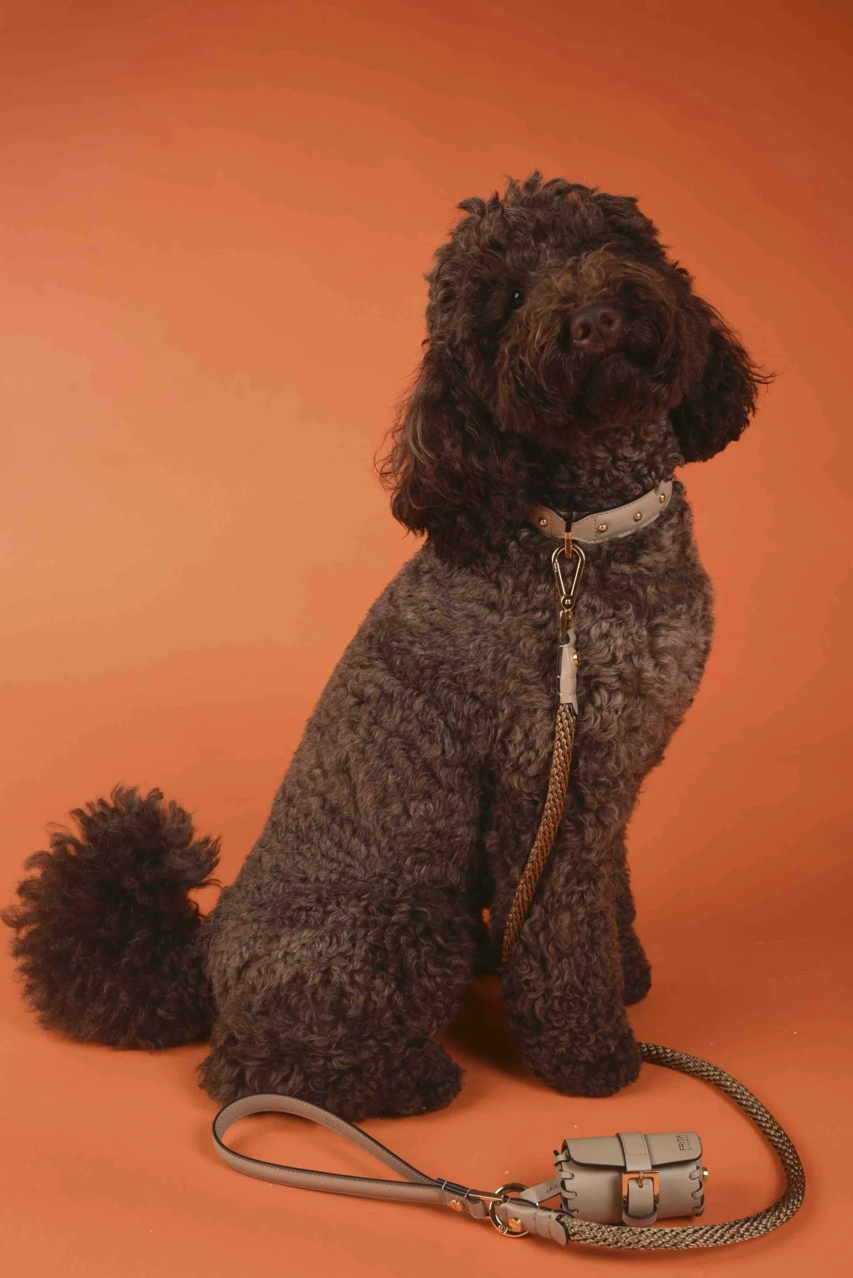 Frida Firenze - Nappa Bag Holder Brown bag dispenser €99 (Courtesy of press)