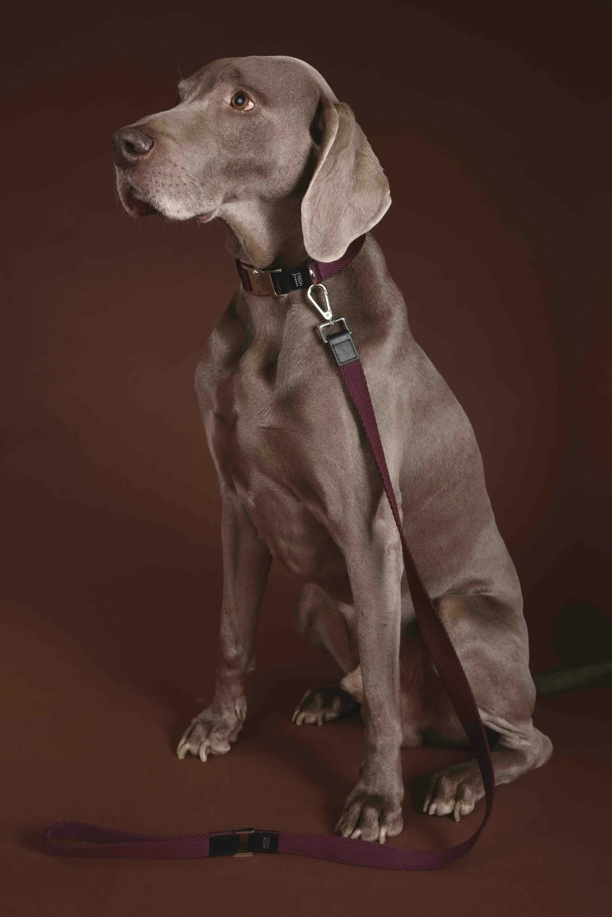 Frida Firenze - Ribbon Shoulder Wine Leash €119 (Courtesy of press)