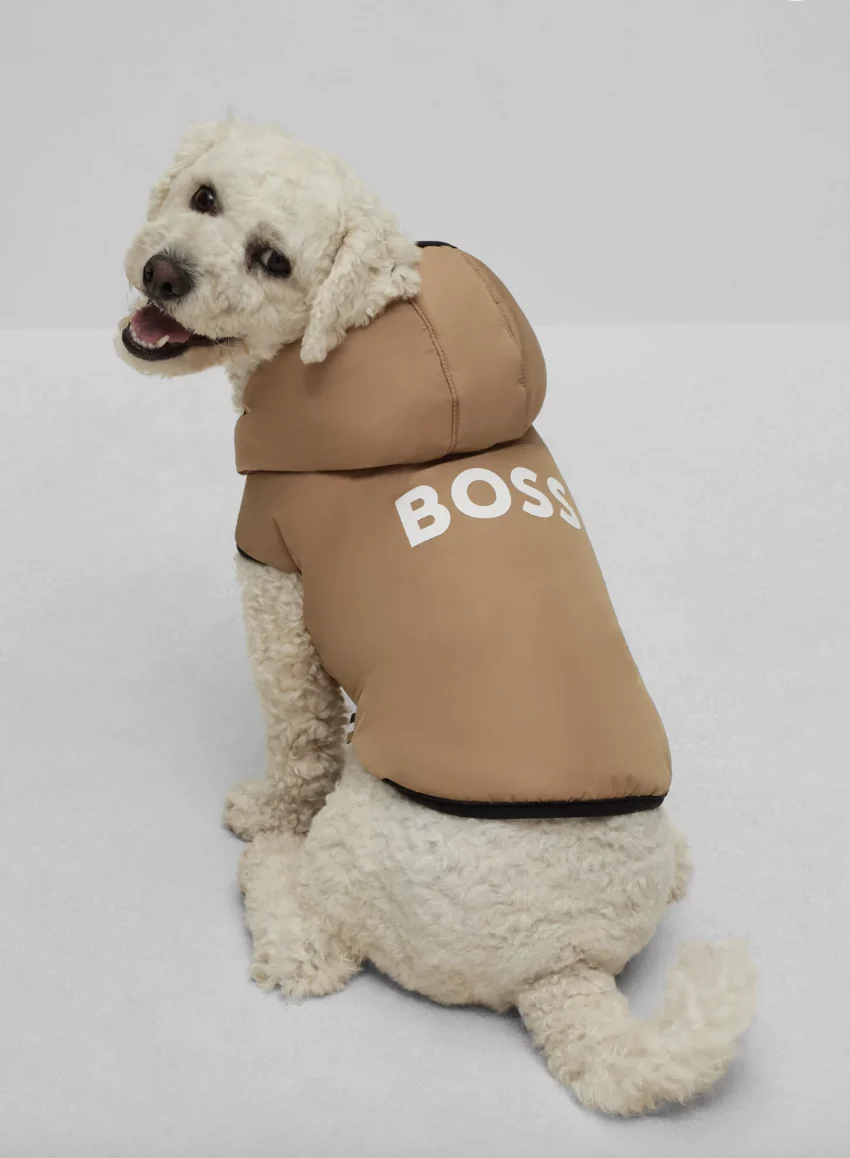 Boss - Lightweight jacket with logo €80