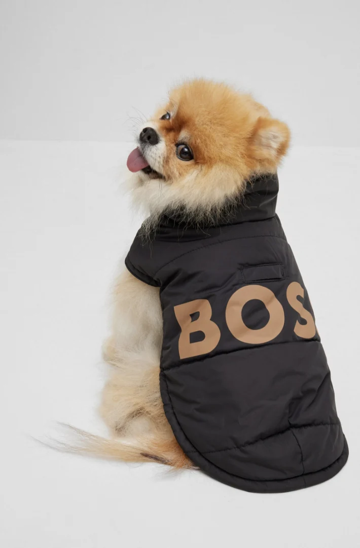 Boss - Padded jacket with contrasting logo €180