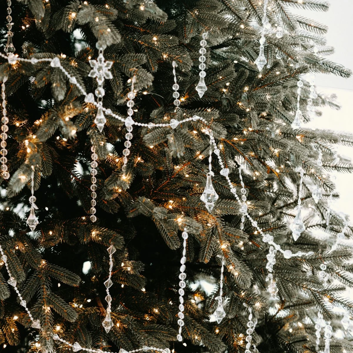 plant tree christmas christmas decorations festival christmas tree